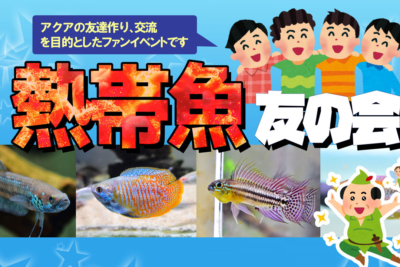 熱帯魚、友の会