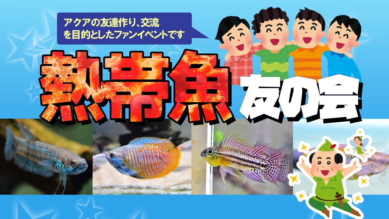 熱帯魚、友の会