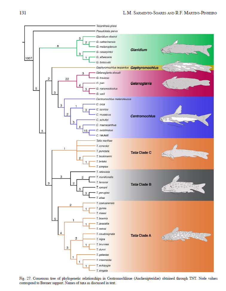 A reappraisal of phylogenetic relationships among
auchenipterid catfishes of the subfamily
Centromochlinae and diagnosis of its genera (Teleostei:
Siluriformes)の110Pの系統解析図