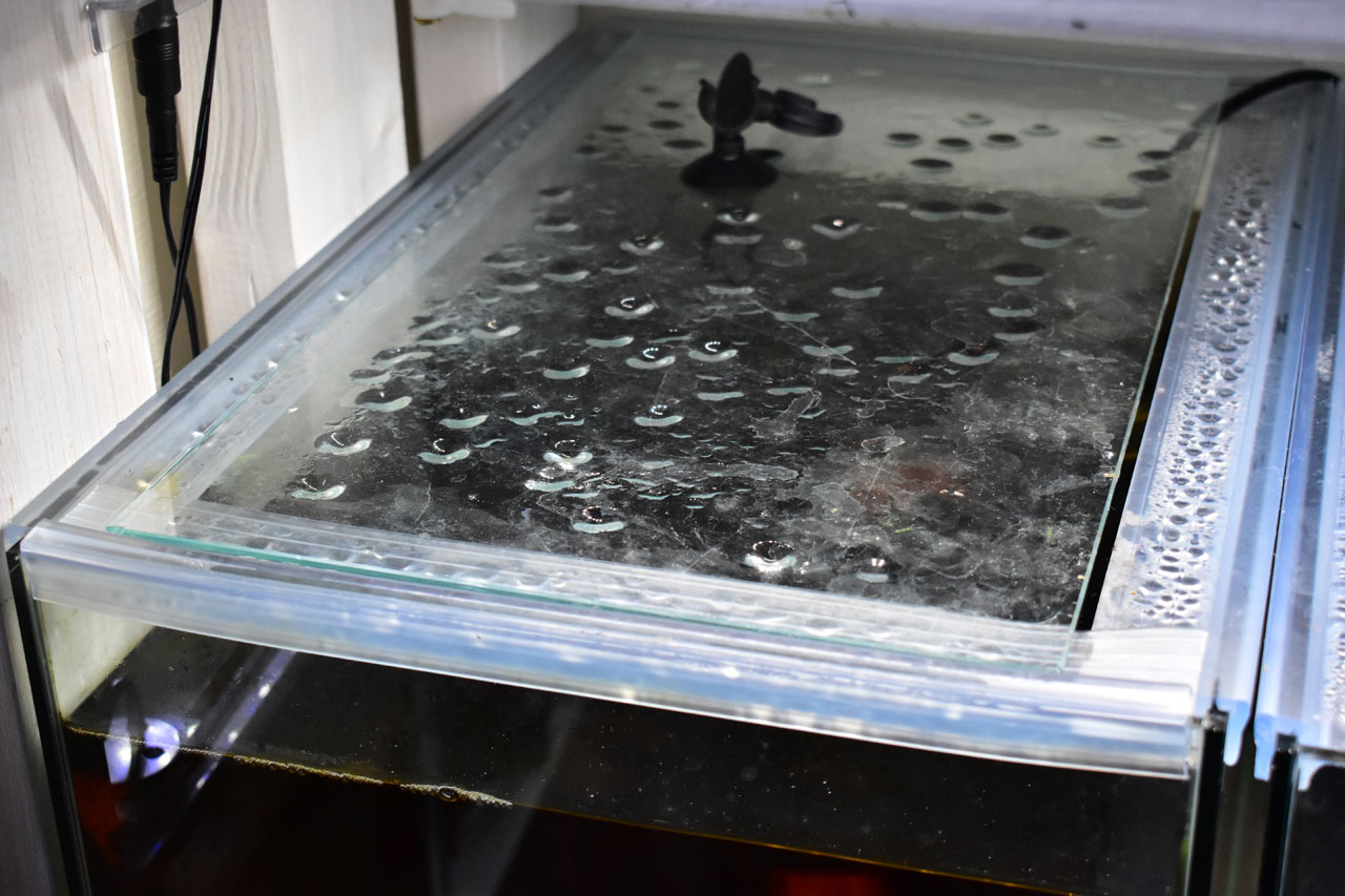 オールガラス水槽に別売りのフリンジを付けて、完全にフタした様子