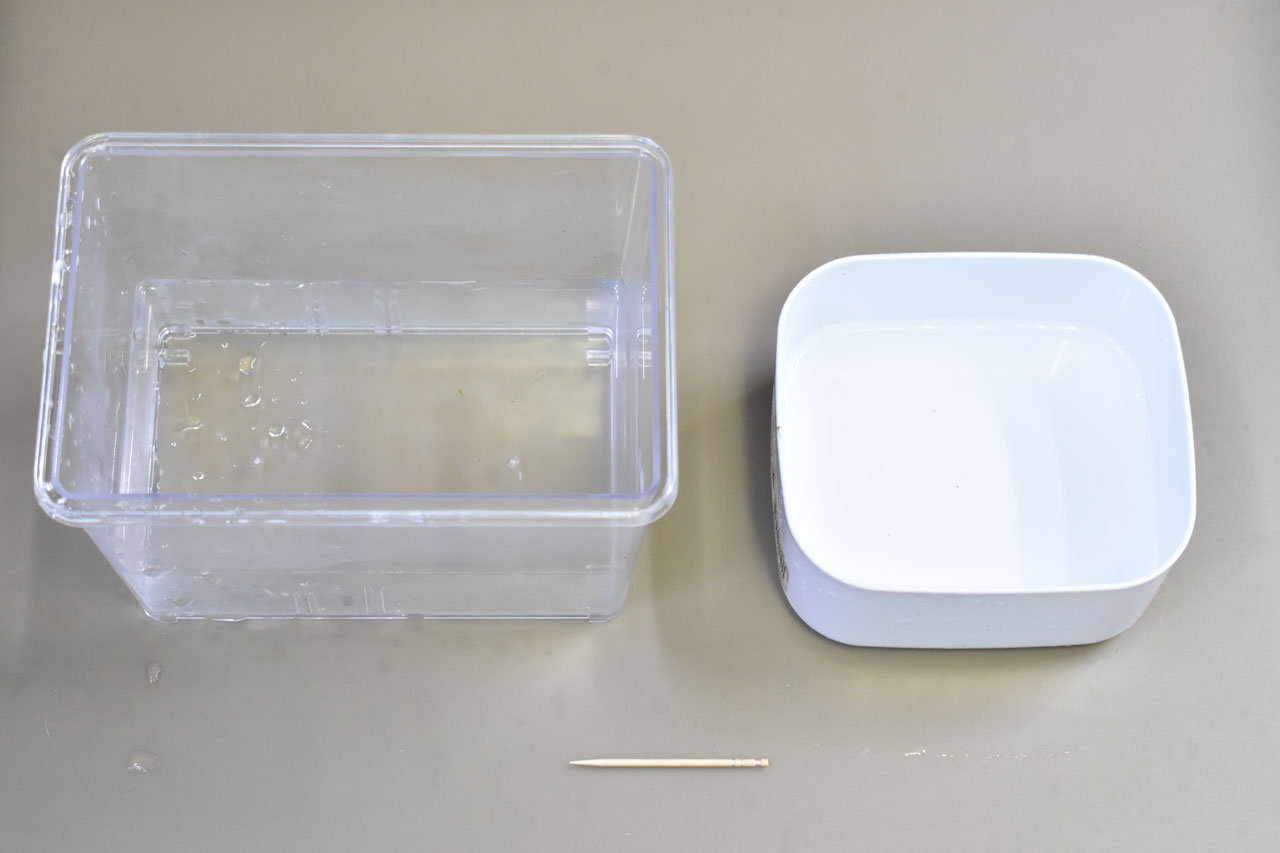 マウスブルーダーベタの人工孵化の容器