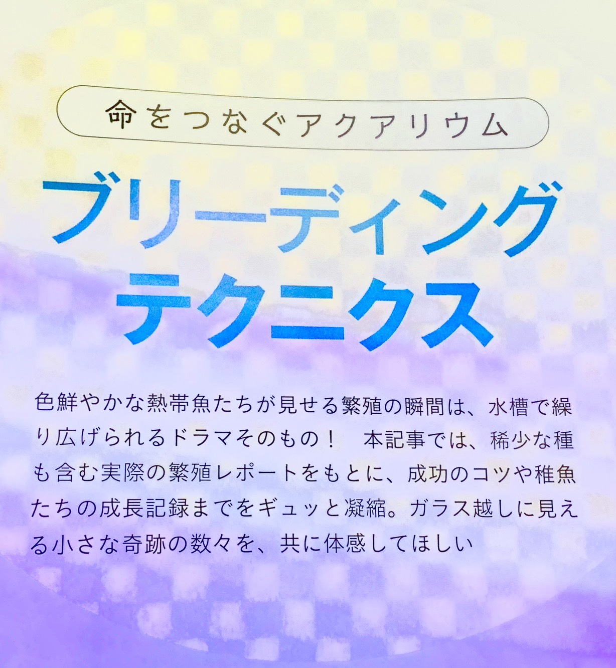 2026年7月号のアクアライフのブリーディングテクニクス