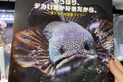 2026年8月号のアクアライフ表紙